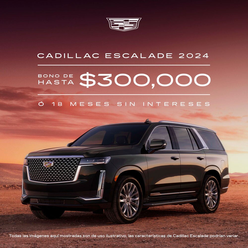 Nueva Envision 2024